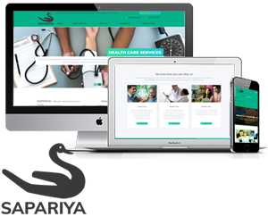 SAPARIYA Logo & Website